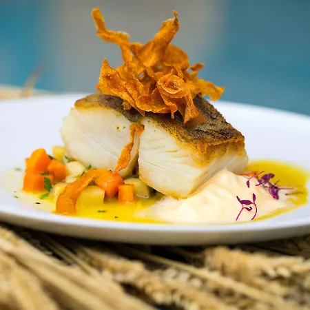Sana Malhoa Lissabon