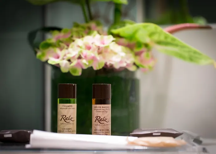 Ξενοδοχείο Sana Malhoa 4*